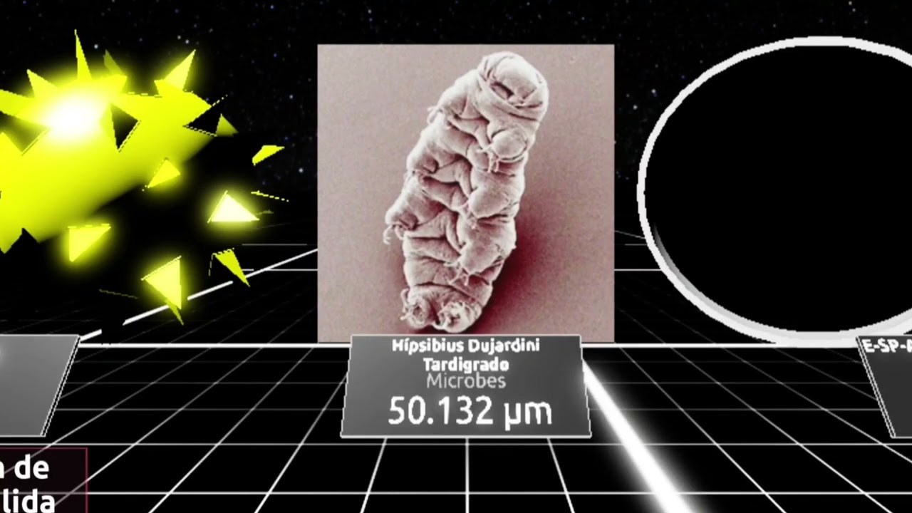 Ultra Size Comparison Roblox 2026 Movie