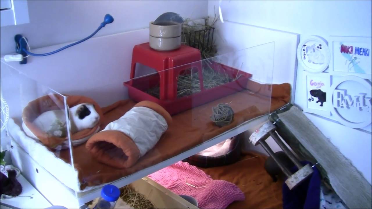 Jak zrobiłam moją klatkę dla świnek morskich - DIY