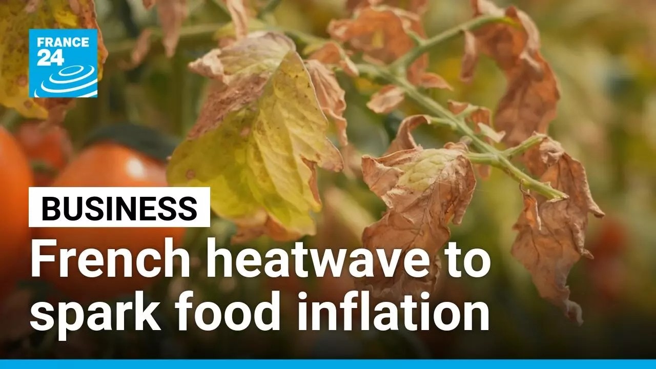 French heatwave threatens food inflation as agriculture sector suffers &bull; FRANCE 24 English