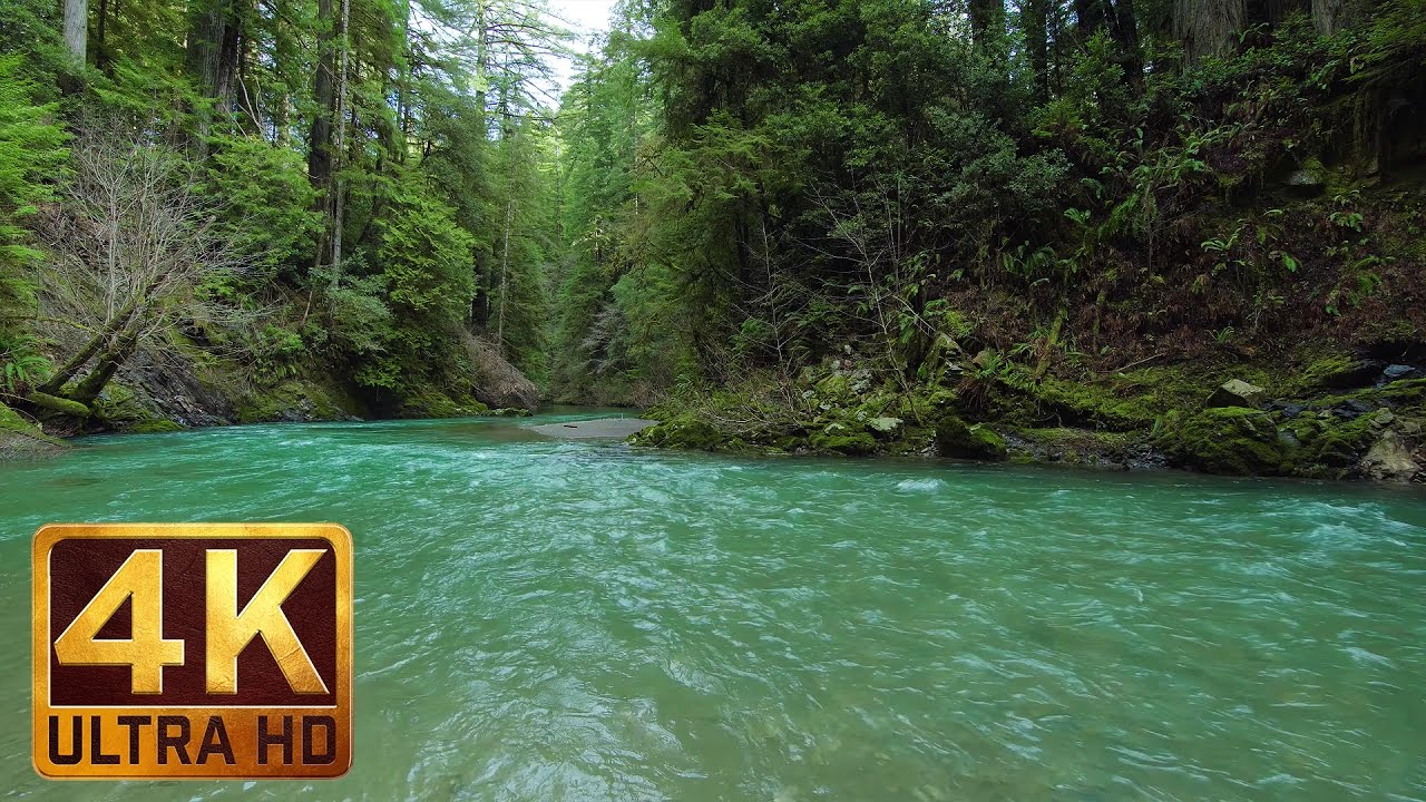 4K (Ultra HD) River Scenery - River in Jedediah Smith Redwoods State Park - Trailer