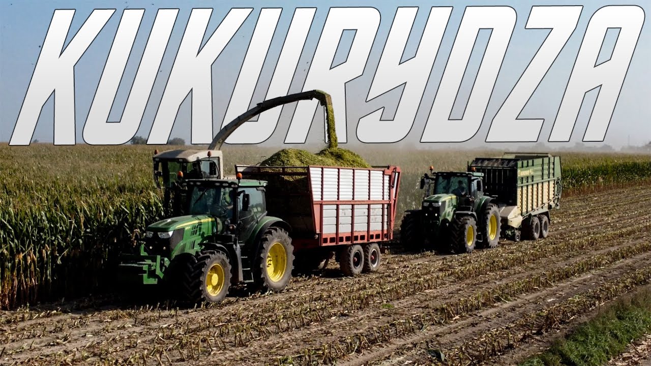 KUKURYDZA NA KISZONKĘ 8X JOHN DEERE ★GR RATAJCZYK & UR BERLAK★