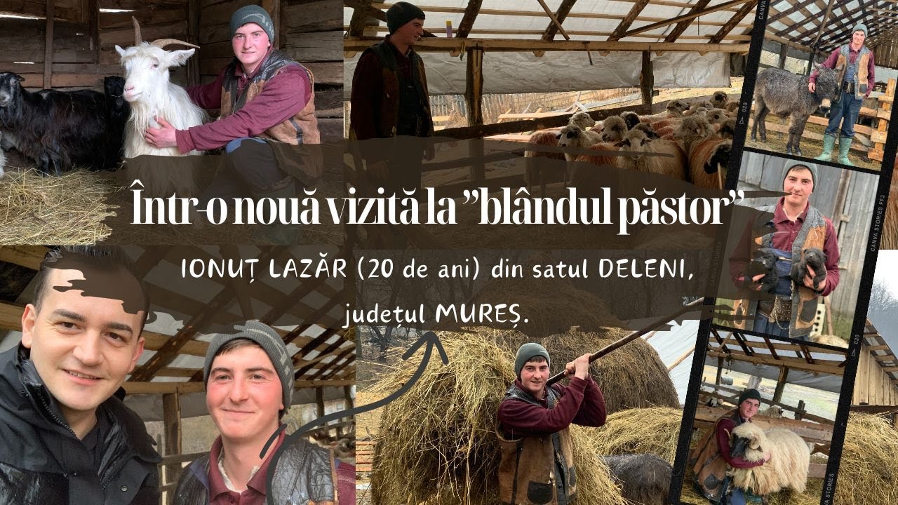 📍 În mijloc de iarnă, la ”blândul și bunul păstor” IONUȚ LAZĂR din satul DELENI, jud. MUREȘ (🆕2024)