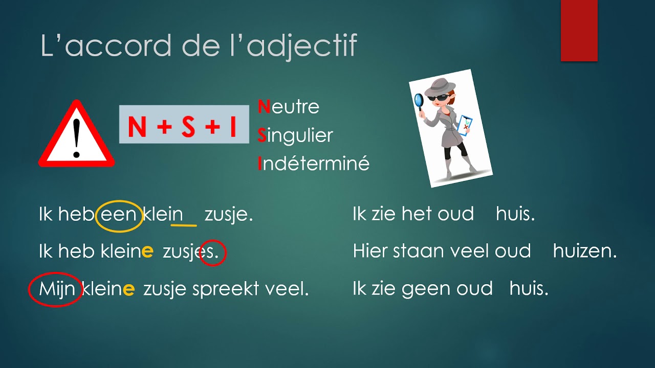 Accord de l'adjectif en néerlandais.