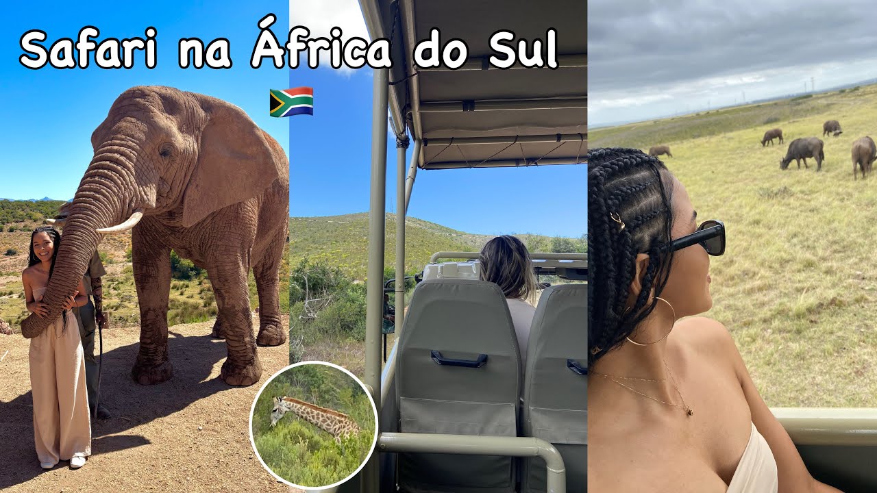 Safari na África do Sul | Diário de Intercâmbio 🇿🇦 #vlog2