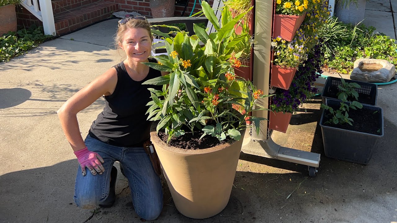 Spring Pollinator Container Garden Combo
