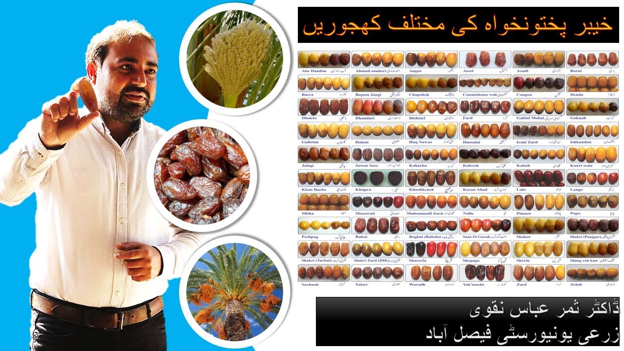 Dates of Dera Ismail Khan: Exploring Pakistan's Sweet Heritage 🌴✨