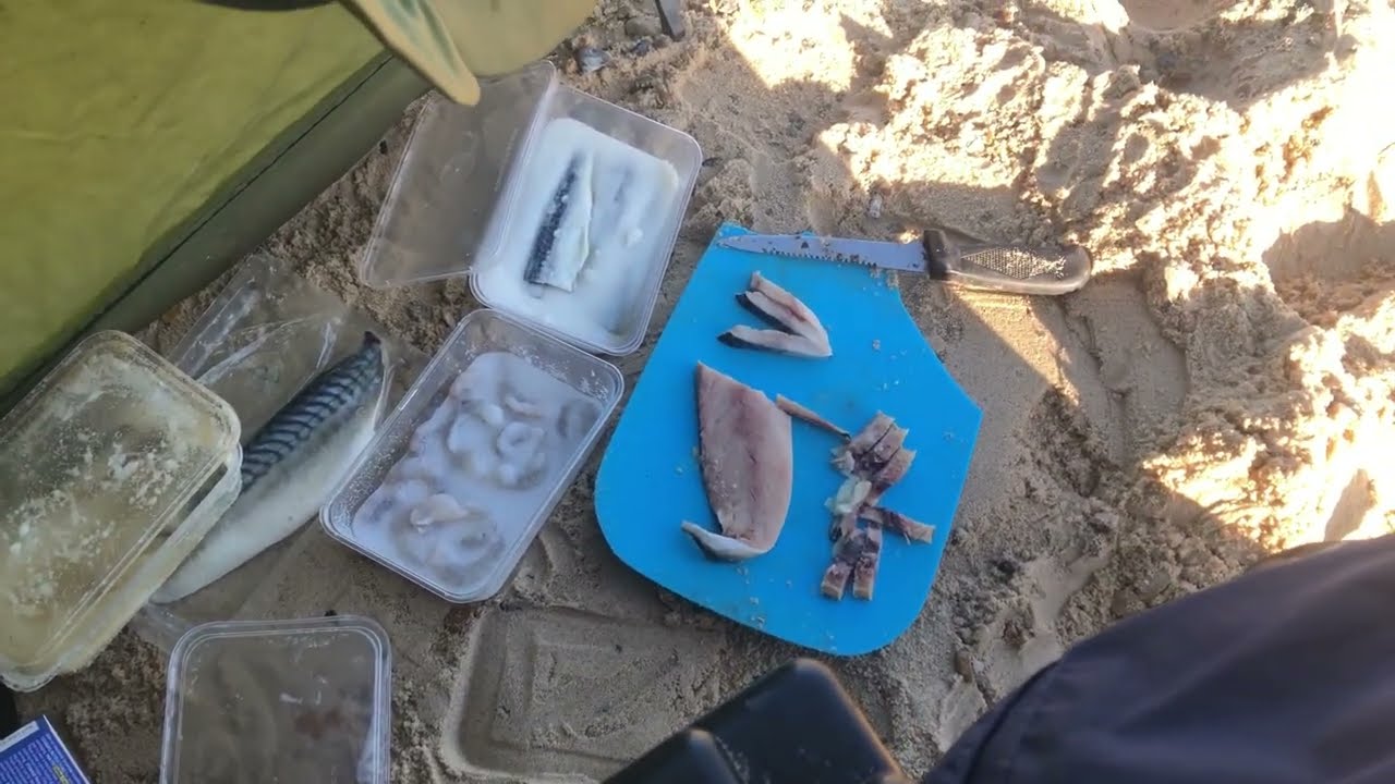 Caister beach surprise codling! Sea fishing Norfolk