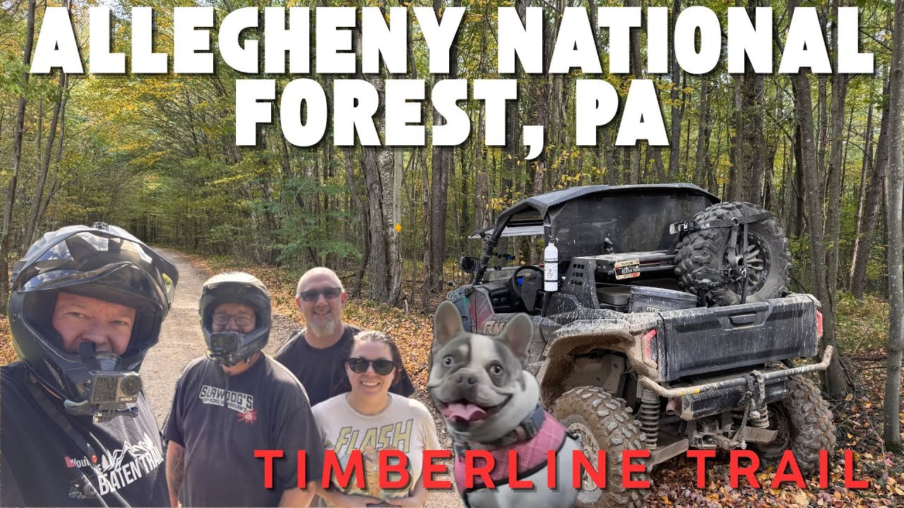 Больше маршрутов! Обзор маршрута Timberline — Национальный лес Аллегейни, Пенсильвания — МАРШРУТЫ...
