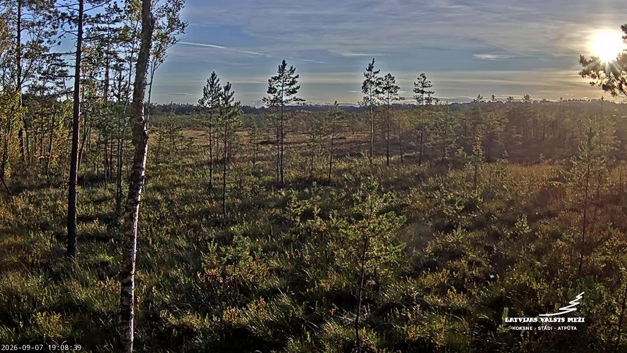 LVM Purvs - Bog