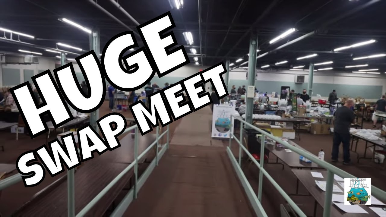 HUGE LOCAL FISH CLUB SWAP MEET!