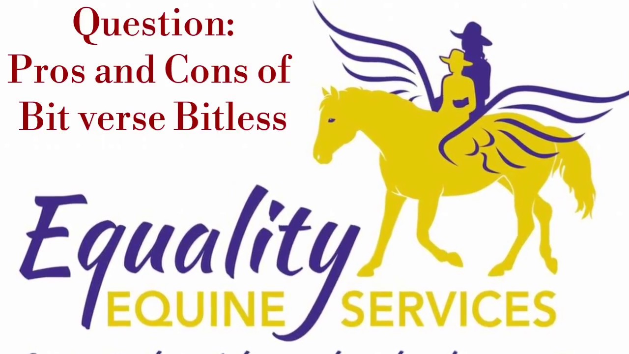 Bit verse Bitless riding