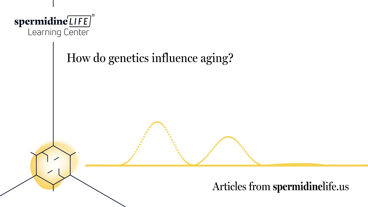 How Do Genetics Influence Aging? | Aging Process | How to Look Younger | Longevity
