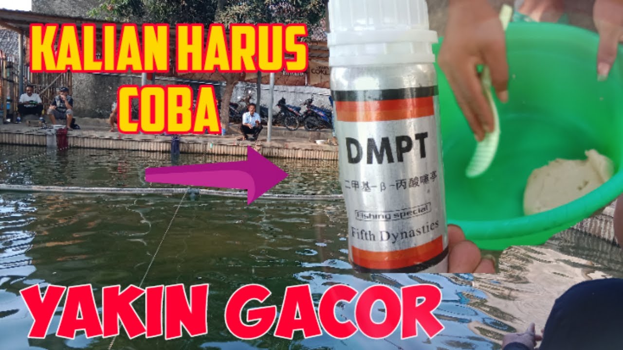 Buat kalian yg belum coba DMPT bisa kalian coba, serbuk essen ini terlalu gacor..