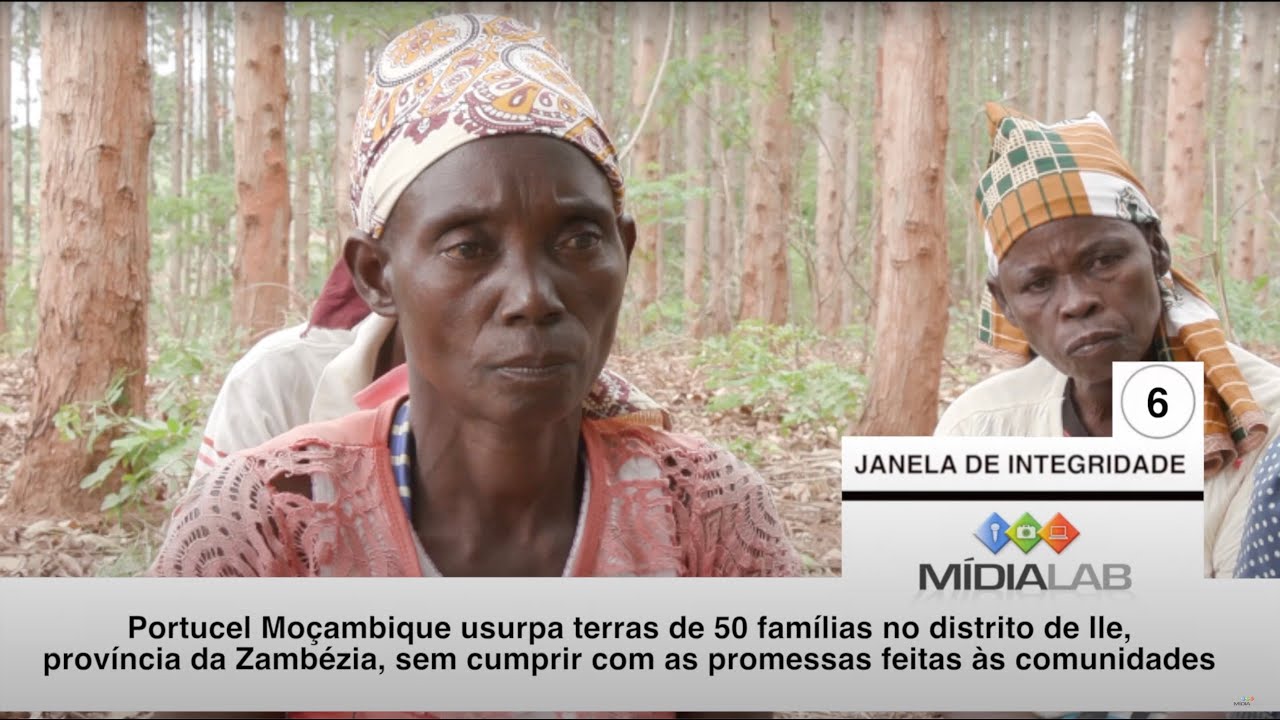 Portucel Moçambique usurpa terras de 50 famílias no distrito de Ile, província da Zambézia