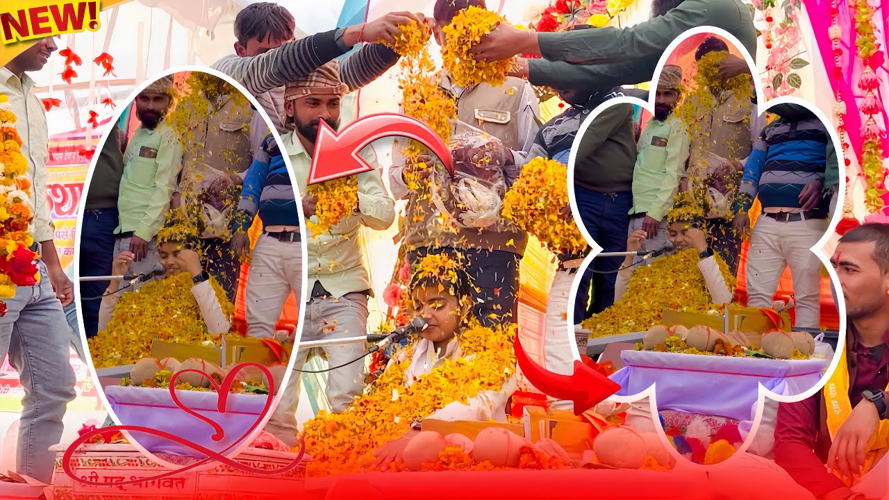 शास्त्री जी कथा में पहुची और!!पहुचते ही कमेटी बालों ने किया जवरजस्ट सम्मान!!Deeksha_shastri 