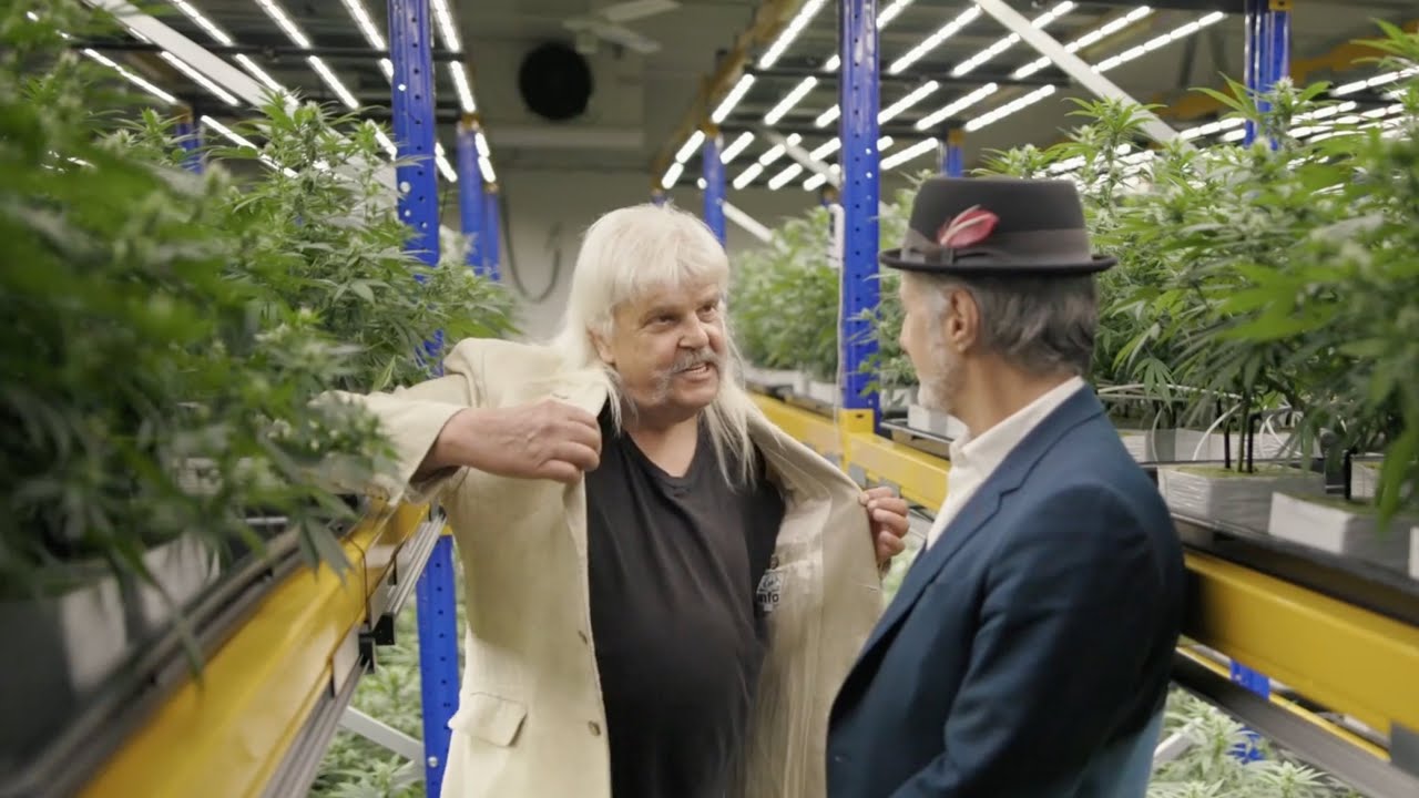 Suisse, CBD et coupe mulet : en toute d&eacute;tente avec Bernard Rappaz