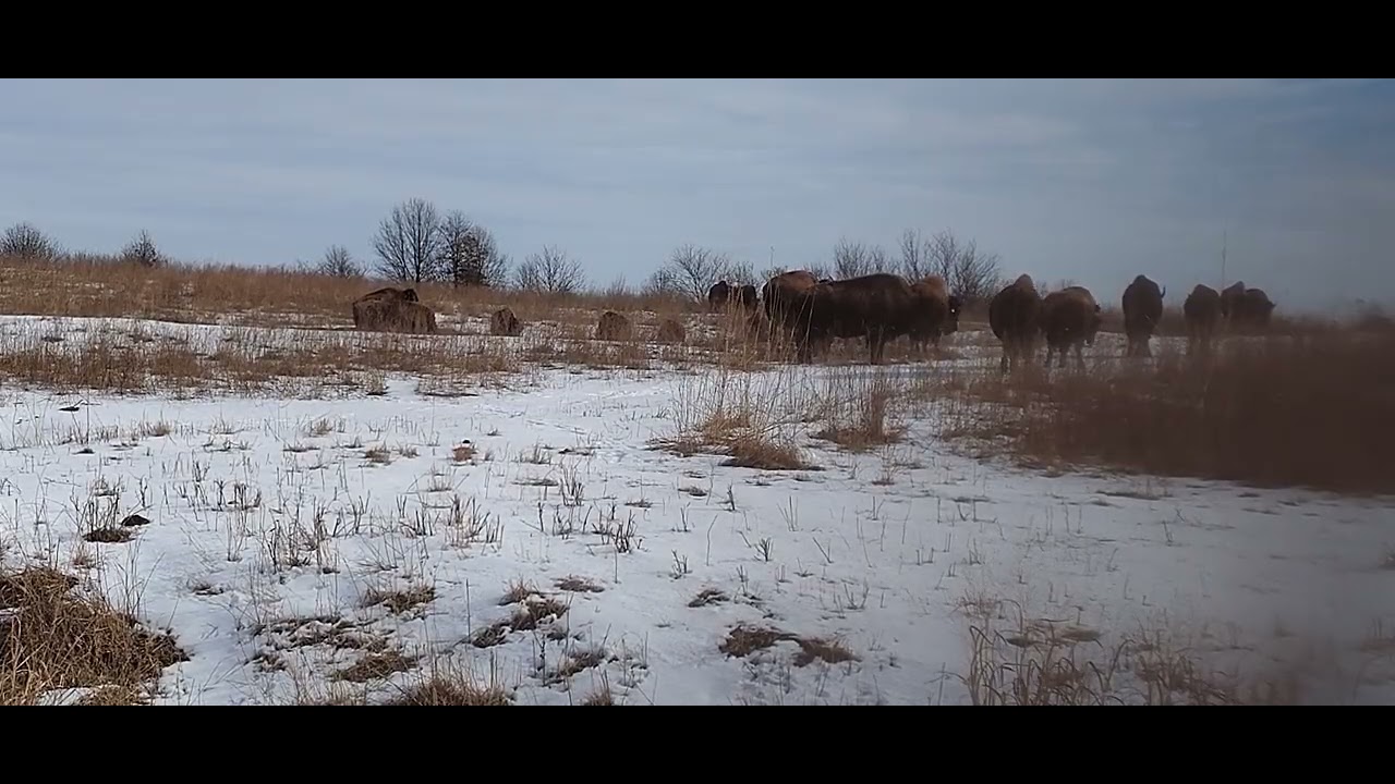 Prairie State Park 