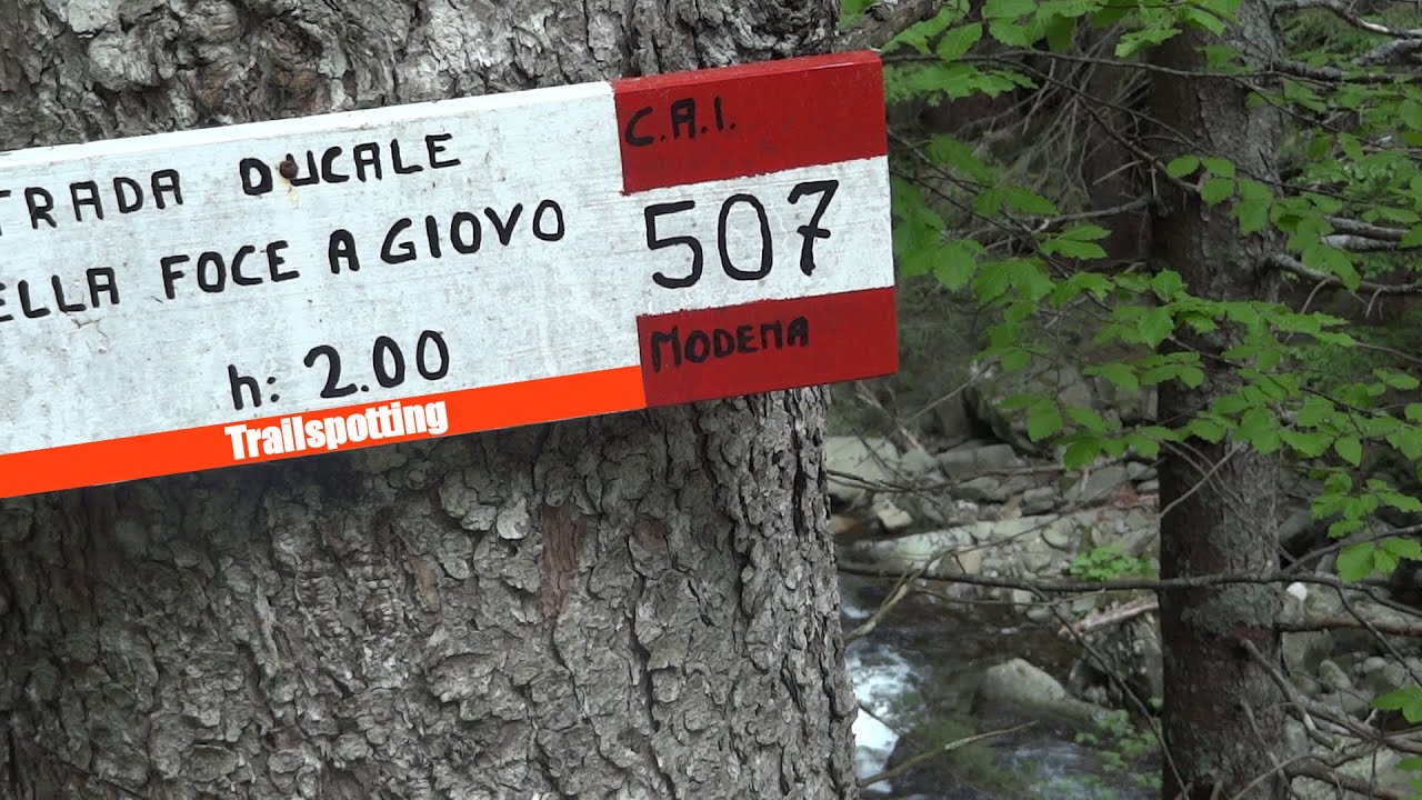 Trailspotting - MTB XC in Appennino Tosco emiliano - Foce a Giovo