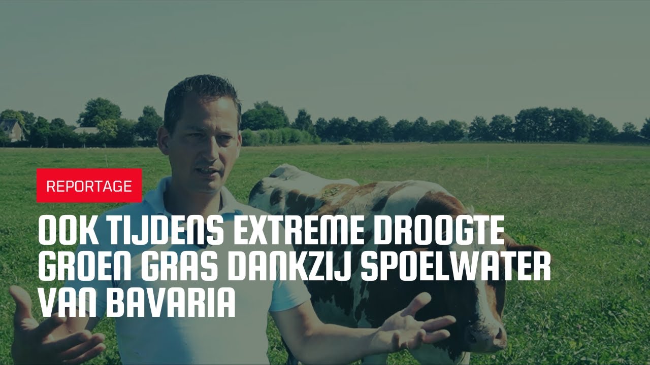 Ook tijdens extreme droogte groen gras dankzij spoelwater van Bavaria