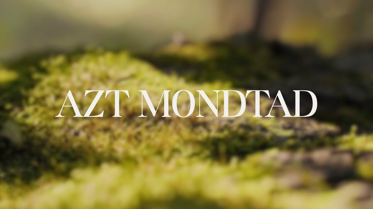 Siloam Project - Azt mondtad (Official Music Video)