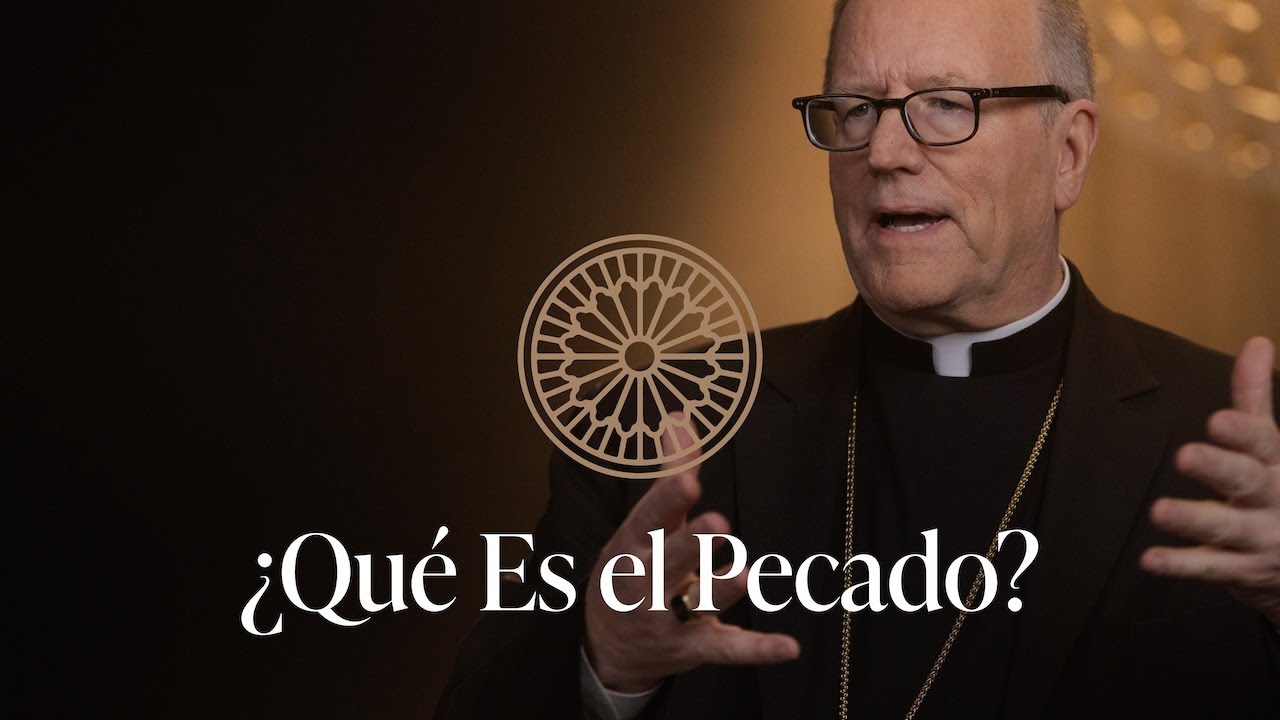 ¿Qué Es el Pecado? - Sermón del Domingo del obispo Robert Barron