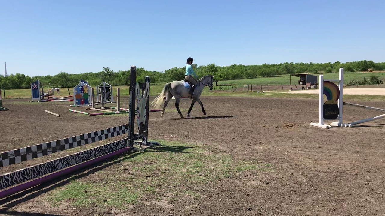 Last try with the Thorowgood saddle