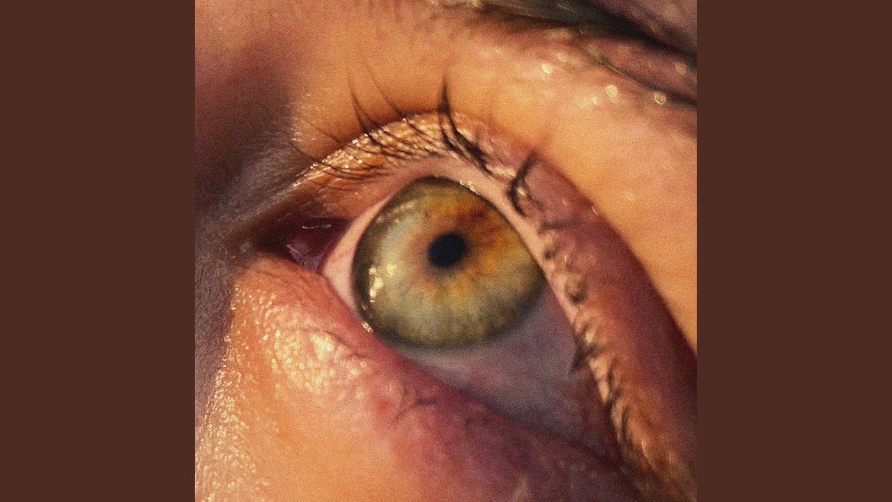 duygu