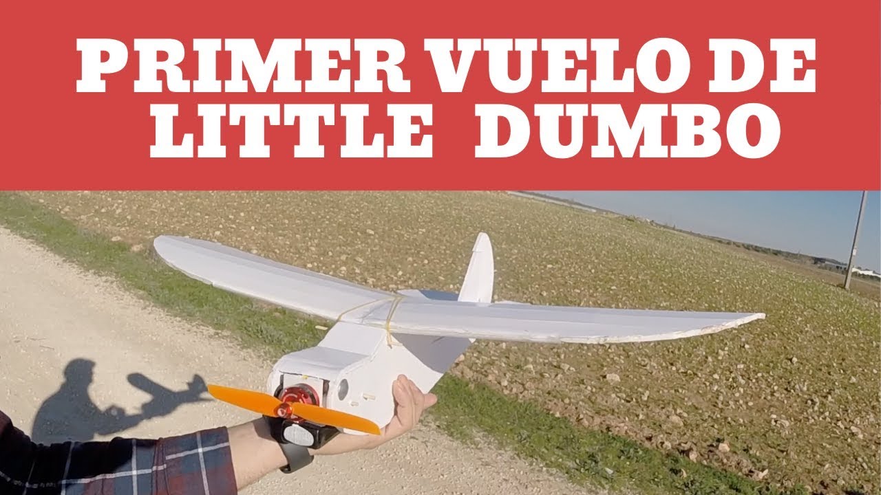 Probamos a Little Dumbo. Avión RC Casero