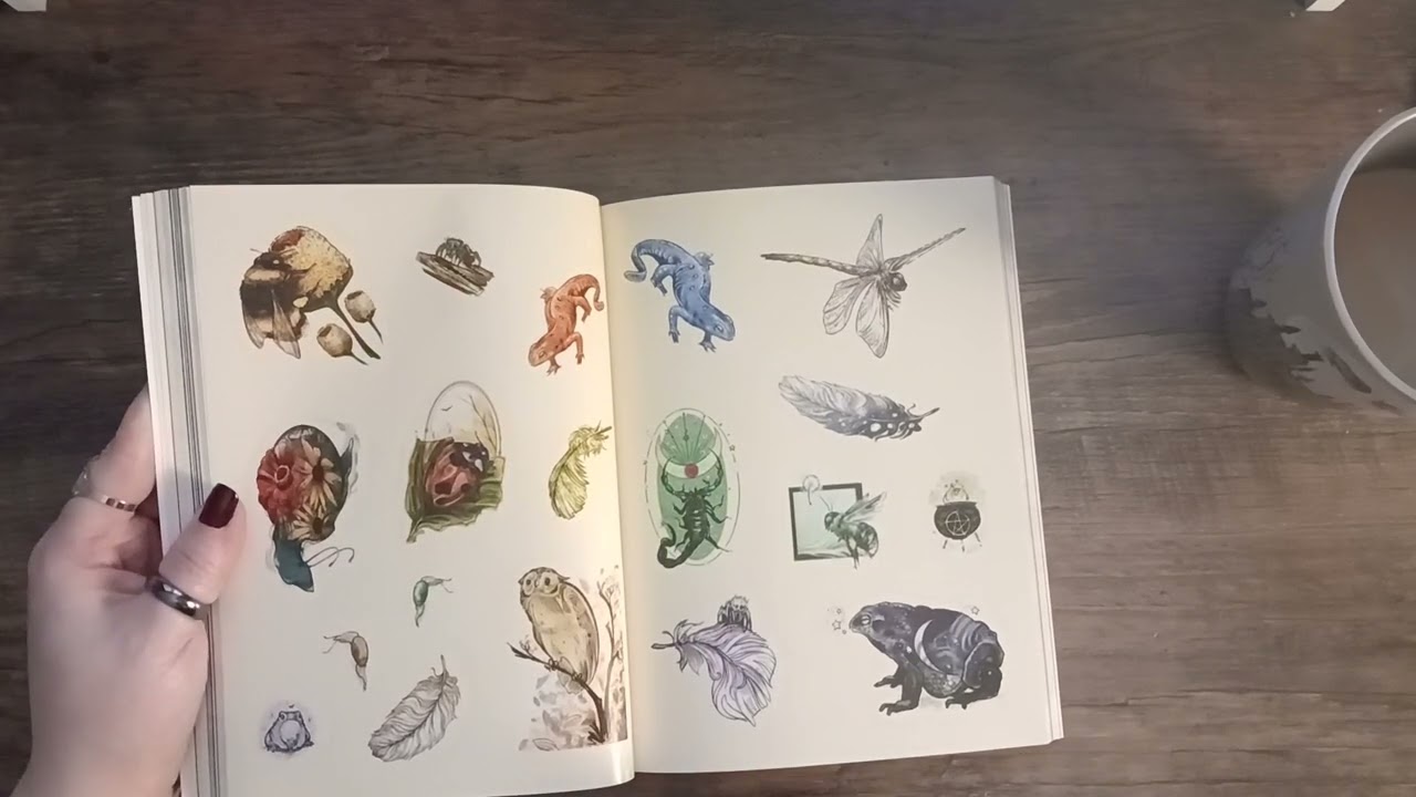 The Green Witch's Sticker Book 🌿 flip through 🌿