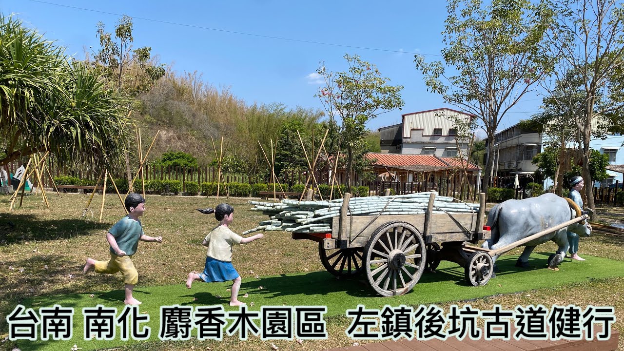 台南 南化麝香木園區 左鎮 後坑古道健行