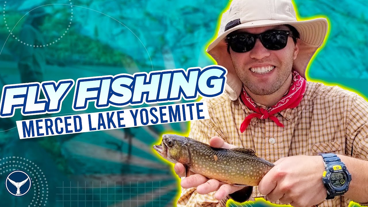 Tenkara FLY FISHING for Brown Trout in Yosemite | Merced Lake