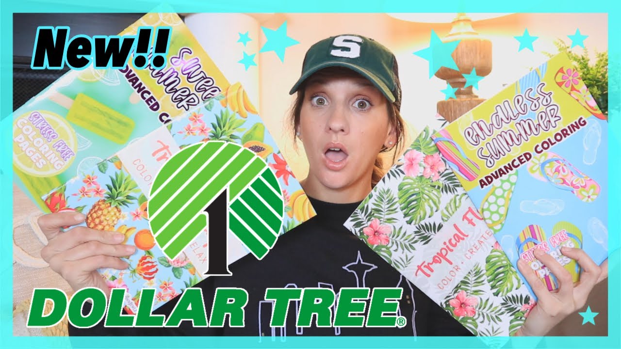 *NEW* DOLLAR TREE HAUL | $1.00 NEW ARRIVALS THIS WEEK | I DIDN&rsquo;T GET IT