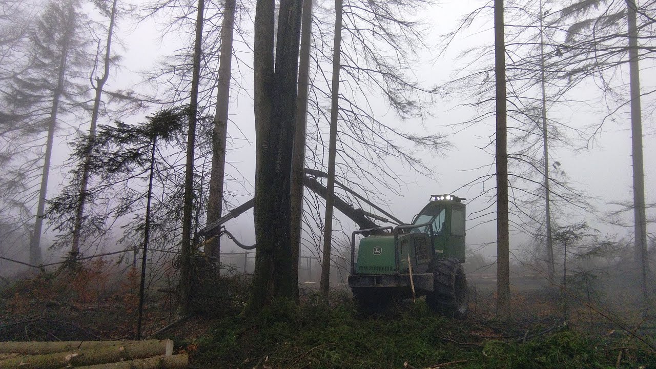 John Deere 1470D EcoIII felling a big tree