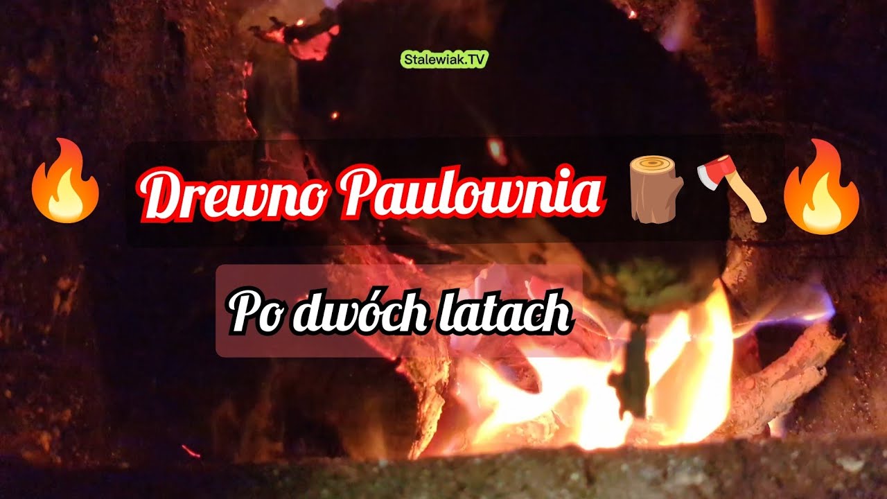 🔥😱 Ogrzewanie paulownią - Drzewa tlenowe, jak się pali. Darmowe ciepło po 2 latach ?