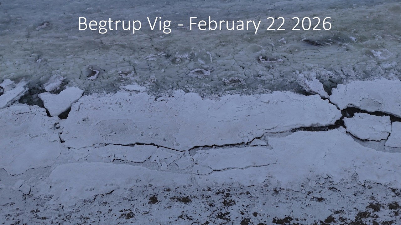 Begtrup Vig (Denmark) February 22 2026 (4K)