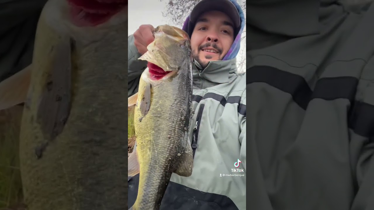 Finally broke my pb! Nothing like a swimbait bite 
