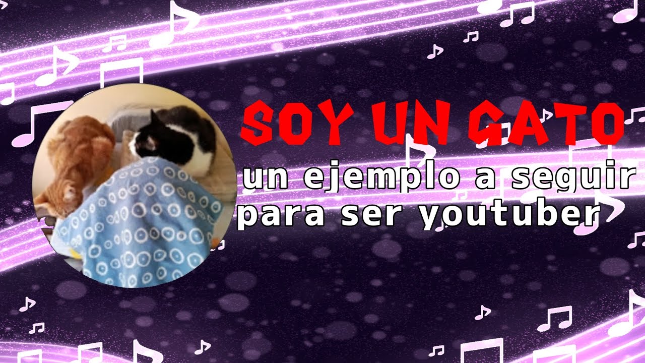 Soy un gato es un ejemplo a seguir...o no?