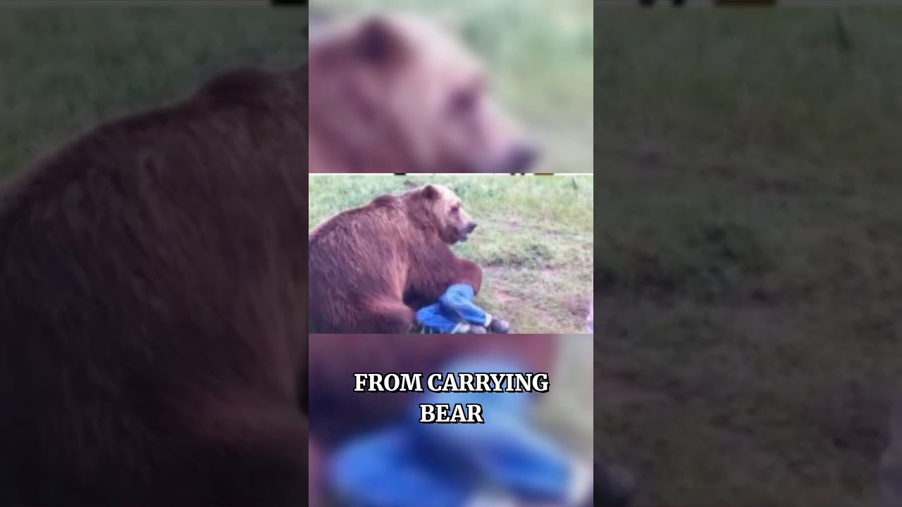 Best Bear Attack Preparations Still Go Wrong!