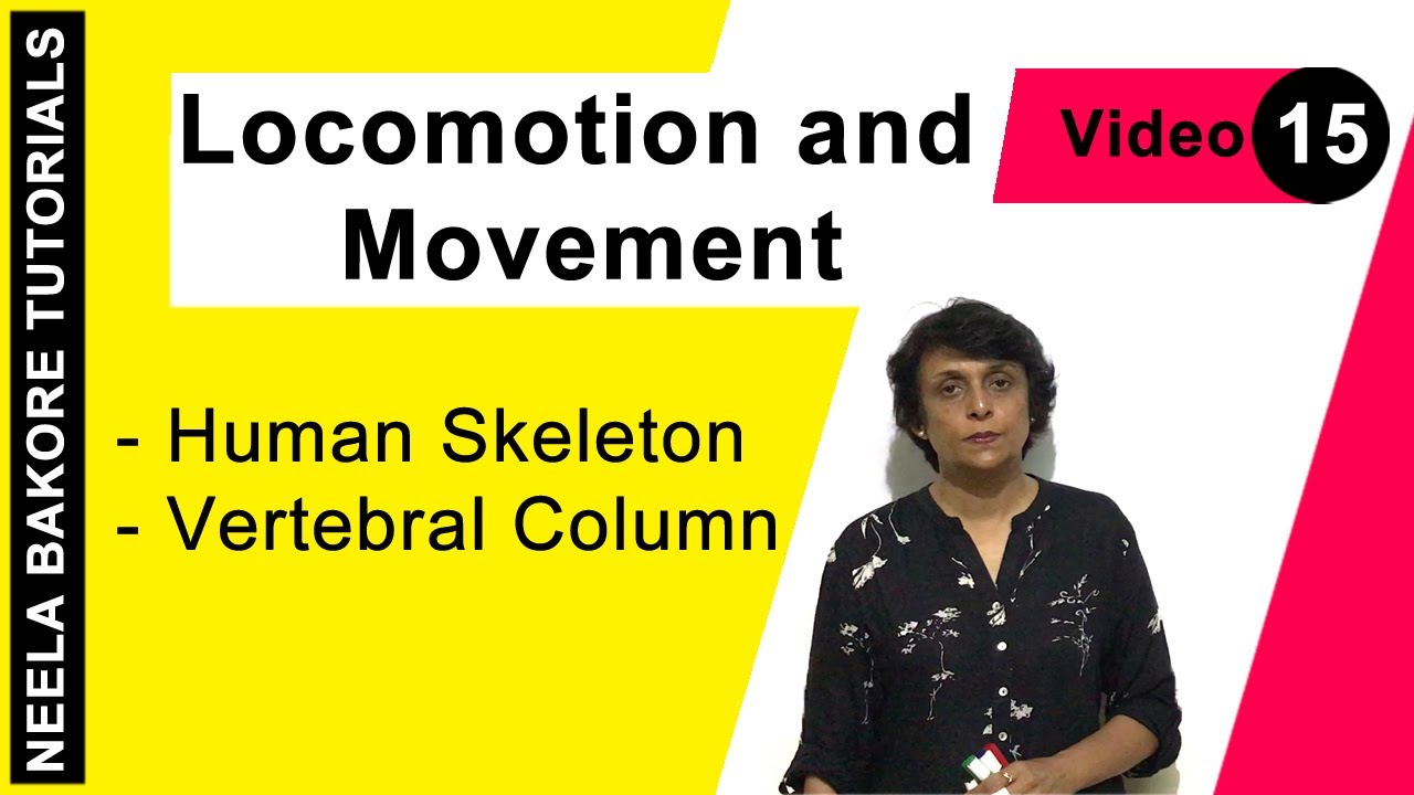 Locomotion and Movement | NEET | Human Skeleton - Vertebral Column | Neela Bakore Tutorials