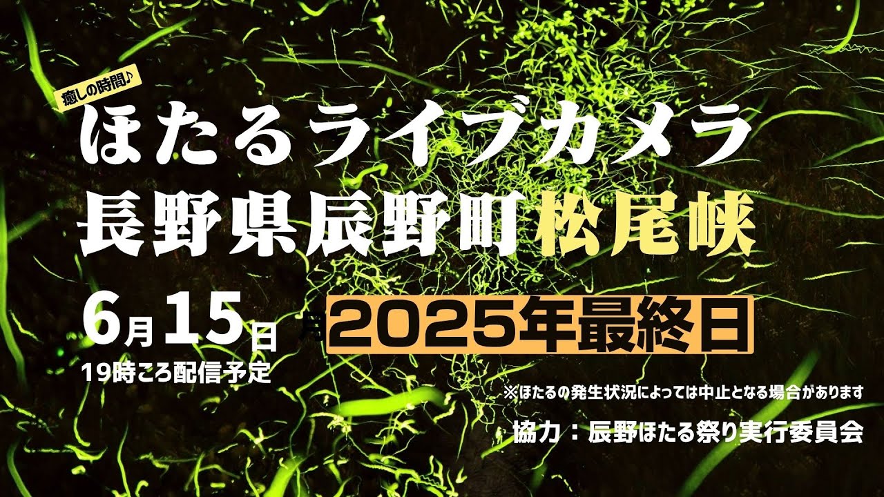 【ほたるLIVE】絶景ほたるライブカメラ（長野県辰野町「松尾峡」）／2025年6月14日(土) #ほたる／2025年最終日