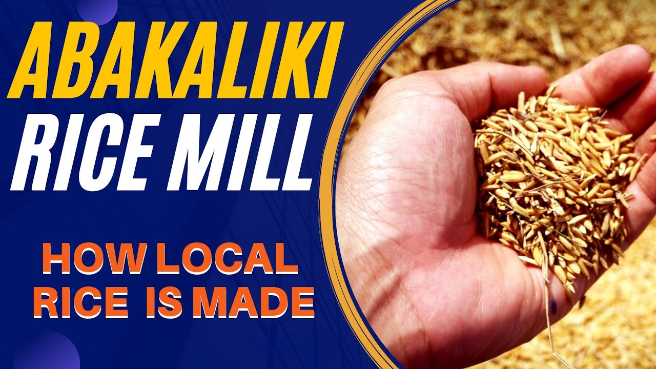 Abakaliki Rice Mill - See how local rice is processed in Nigeria to bring the best Rice from Ebonyi