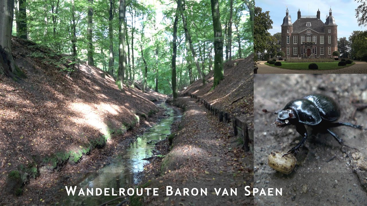 Baron van Spaen wandeling (over de landgoederen Biljoen en Beekhuizen)