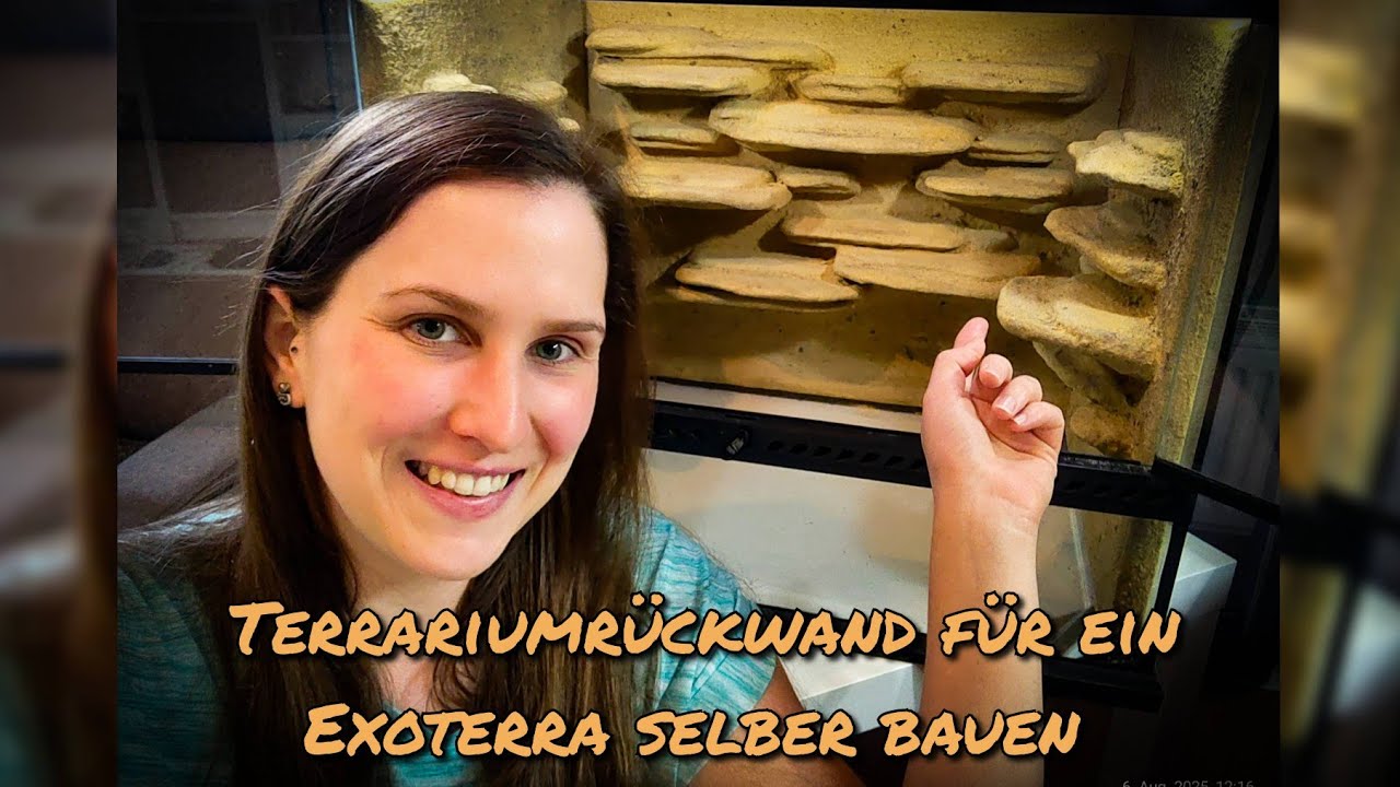 Terrariumrückwand für ein Exoterra selber bauen 
