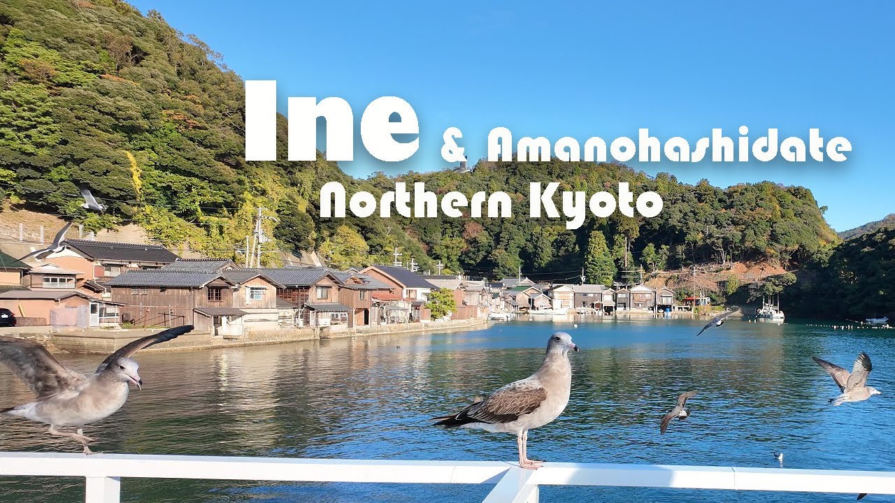 9D8N Kansai Vlog ~  Amanohashidate in Autumn & Japan fishing village Ine Funaya