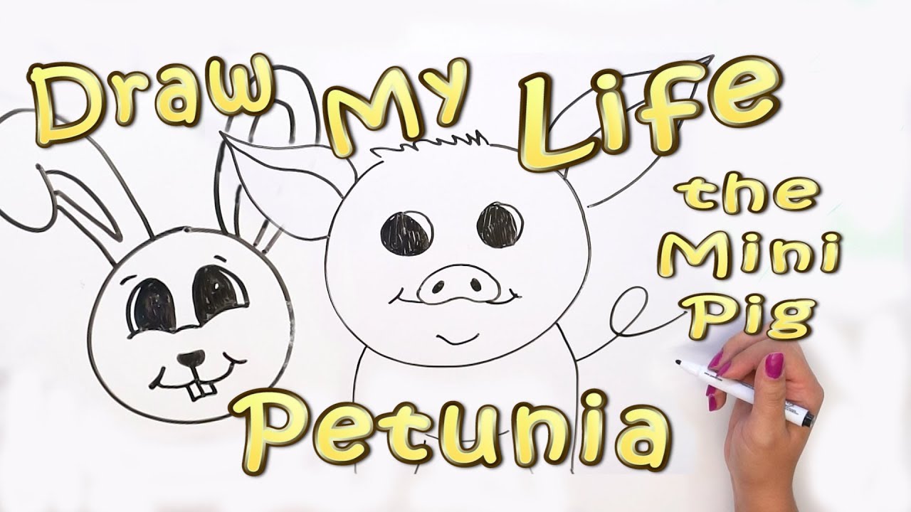Draw My Life Petunia the Pig | Pets Add Life