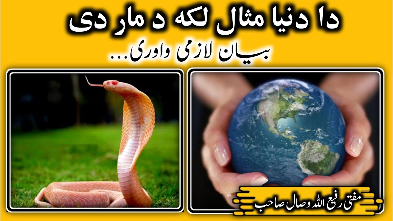 || Da Dunya Misal Da Mar Di, د دنیا مثال د مار دی || Mufti Rafe Ullah Wisal Sahib || اسلامی علماء