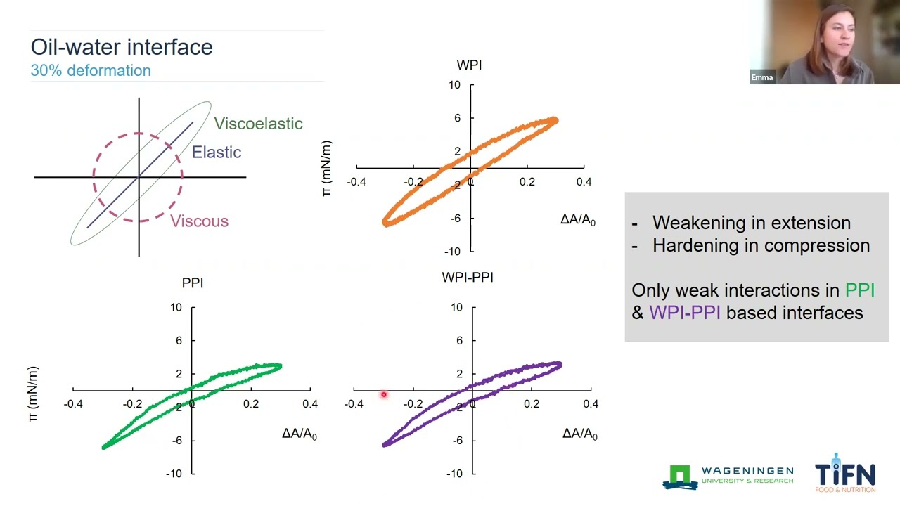 Emma Hinderink - Formation, structure and functionality of protein-stabilised fluid interfaces