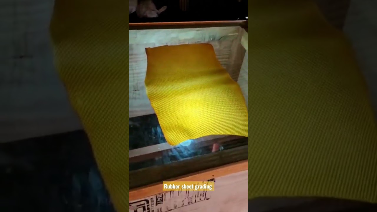 Rubber Sheet grading and quality check  #rubber #viralshort #youtubeshorts