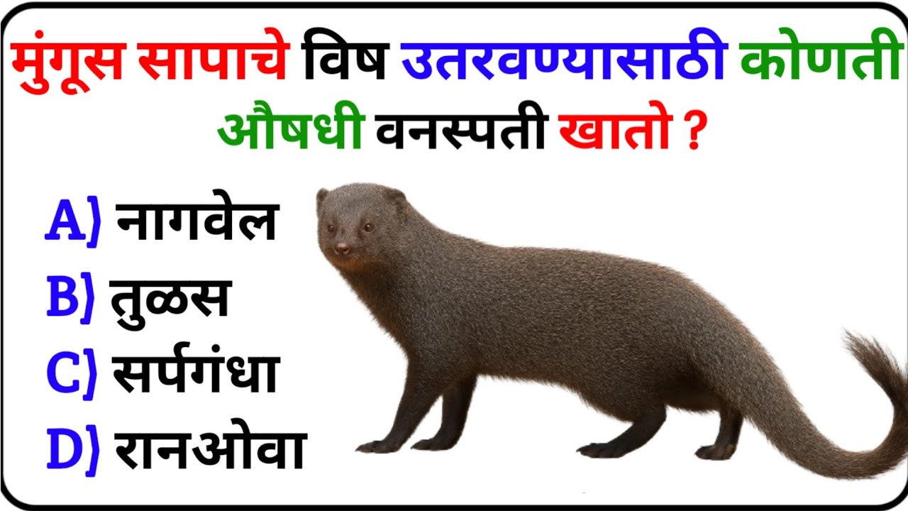 GK | GK Marathi Question | GK Questions In Marathi | GK Marathi General Knowledge | Current Affairs