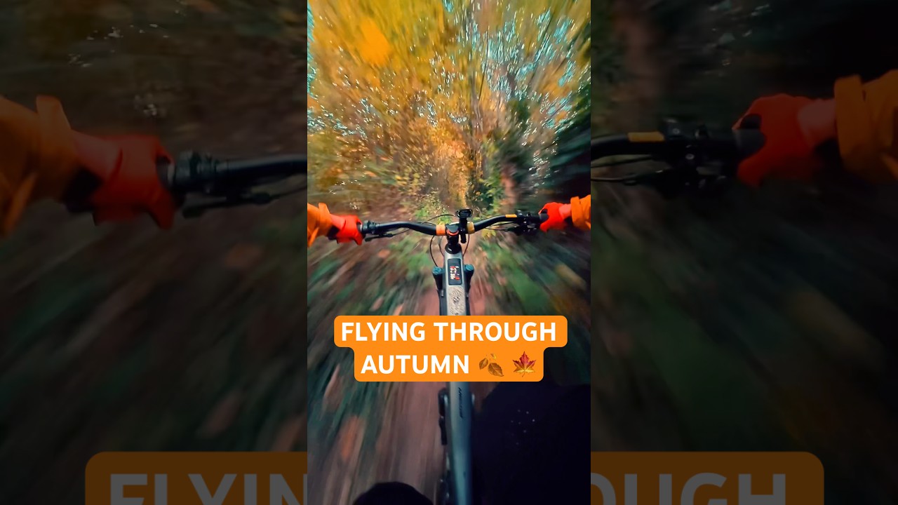 I WAS WIZZING THROUGH THE TREES 🍁🍂 #mtb #ukmtb #mountainbike #autumn #autumncolors